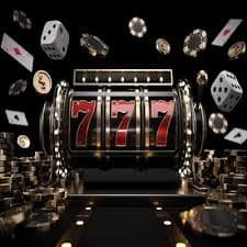 6777 dbt